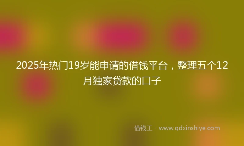 2025年热门19岁能申请的借钱平台,整理五个12月独家贷款的口子