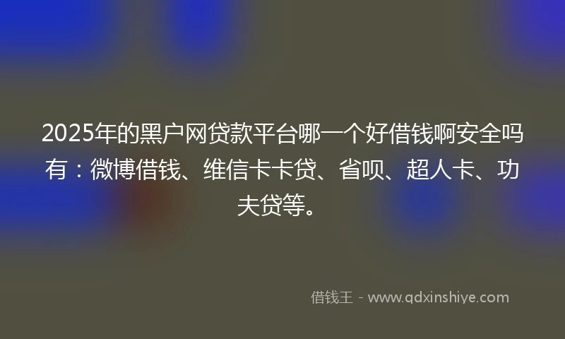 2025年的黑户网贷款平台哪一个好借钱啊安全吗有：微博借钱、维信卡卡贷、省呗、超人卡、功夫贷等。