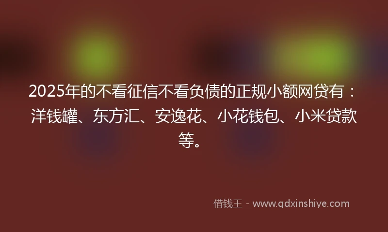 2025年的不看征信不看负债的正规小额网贷有：洋钱罐、东方汇、安逸花、小花钱包、小米贷款等。