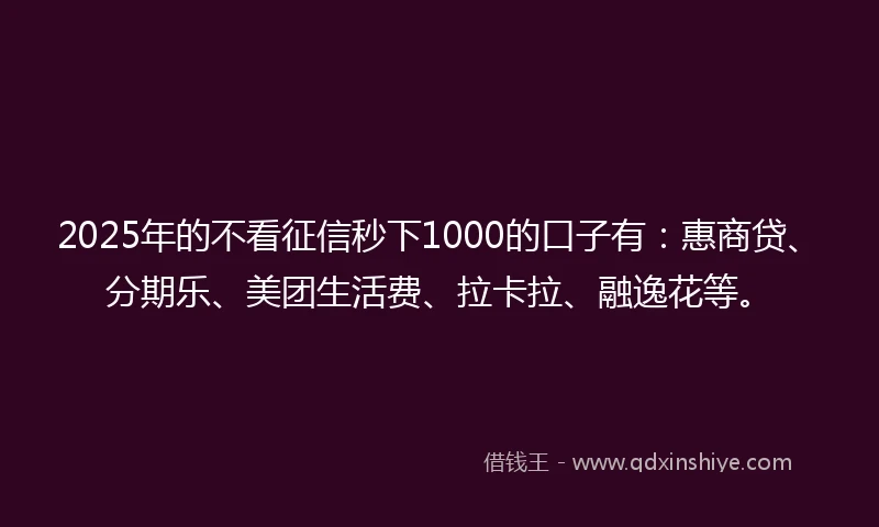 2025年的不看征信秒下1000的口子有：惠商贷、分期乐、美团生活费、拉卡拉、融逸花等。