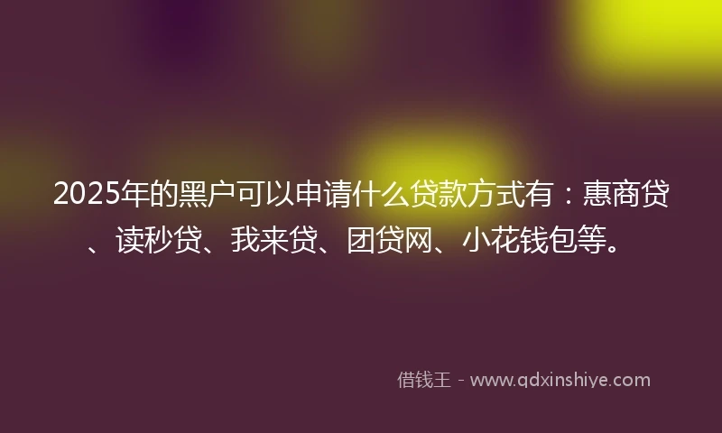2025年的黑户可以申请什么贷款方式有：惠商贷、读秒贷、我来贷、团贷网、小花钱包等。