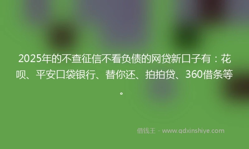 2025年的不查征信不看负债的网贷新口子有:花呗、平安口袋银行、替你还、拍拍贷、360借条等。