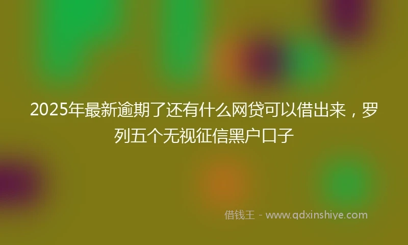 2025年最新逾期了还有什么网贷可以借出来,罗列五个无视征信黑户口子