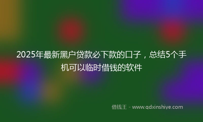 2025年最新黑户贷款必下款的口子,总结5个手机可以临时借钱的软件