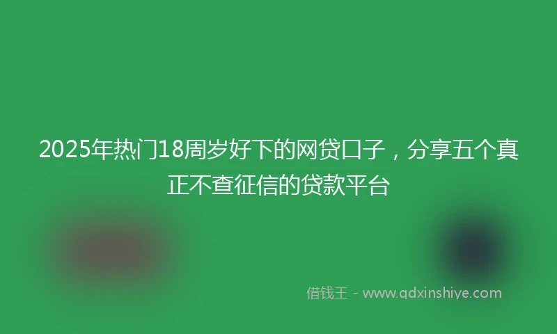 2025年热门18周岁好下的网贷口子，分享五个真正不查征信的贷款平台