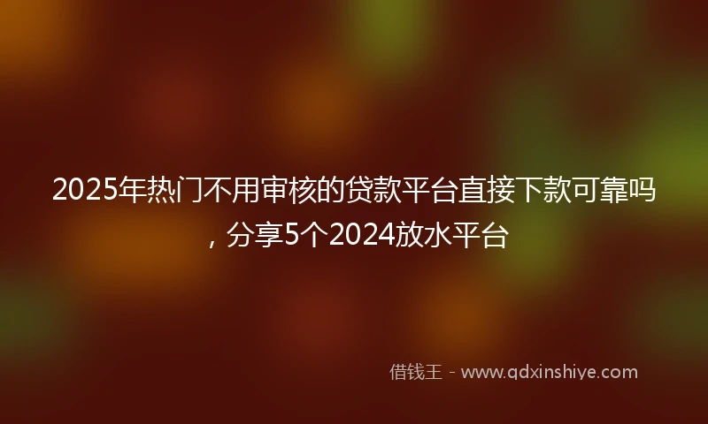 2025年热门不用审核的贷款平台直接下款可靠吗,分享5个2024放水平台