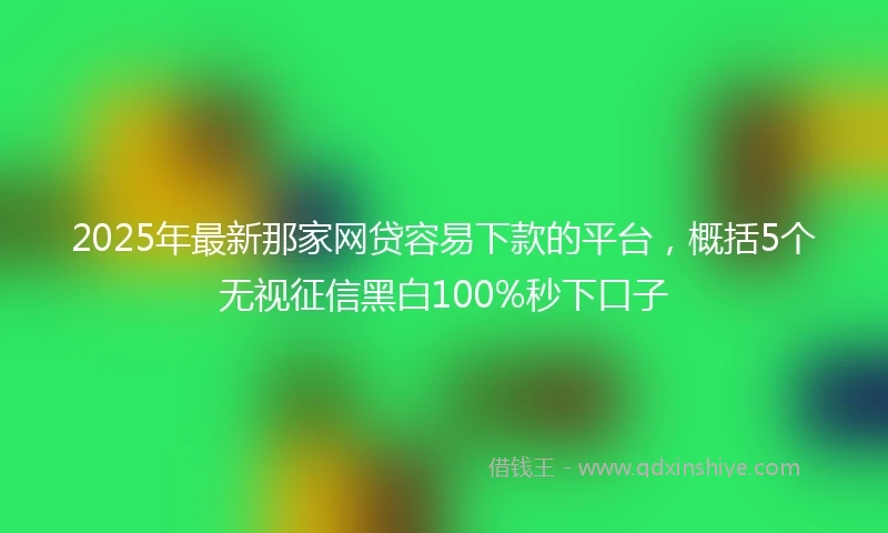 2025年最新那家网贷容易下款的平台，概括5个无视征信黑白100%秒下口子