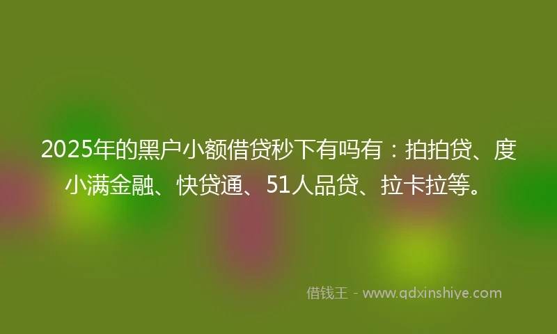 2025年的黑户小额借贷秒下有吗有：拍拍贷、度小满金融、快贷通、51人品贷、拉卡拉等。
