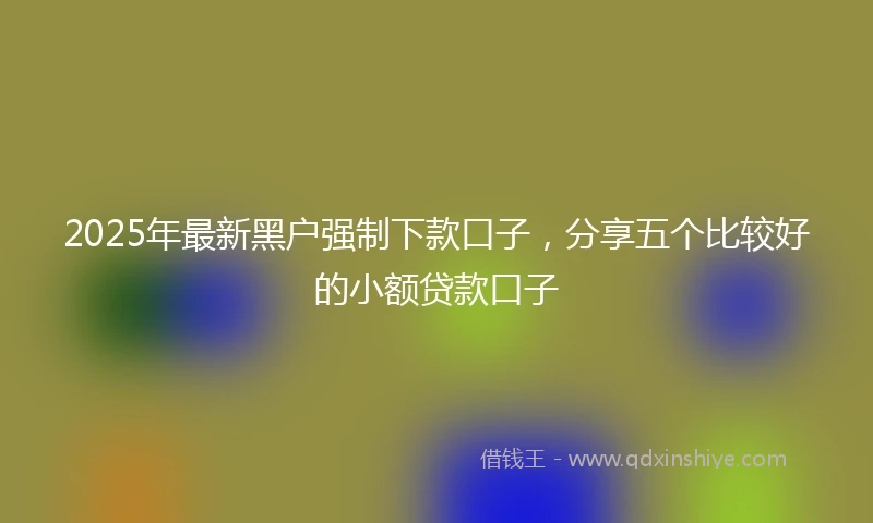 2025年最新黑户强制下款口子，分享五个比较好的小额贷款口子