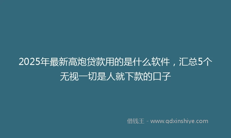 2025年最新高炮贷款用的是什么软件，汇总5个无视一切是人就下款的口子