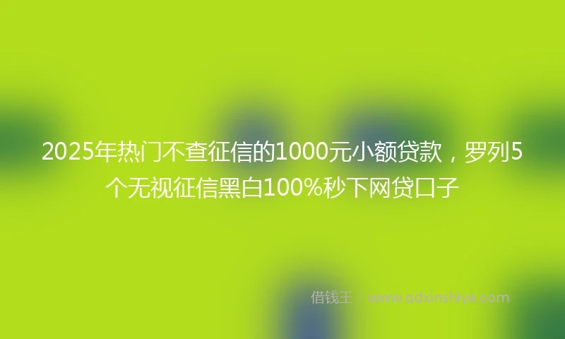 2025年热门不查征信的1000元小额贷款，罗列5个无视征信黑白100%秒下网贷口子