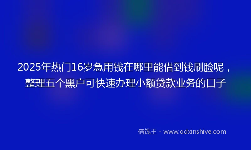 2025年热门16岁急用钱在哪里能借到钱刷脸呢，整理五个黑户可快速办理小额贷款业务的口子