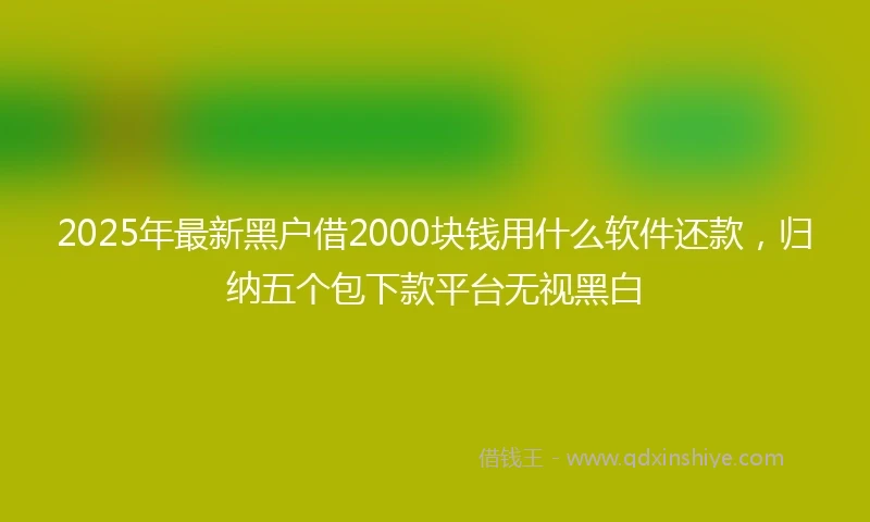 2025年最新黑户借2000块钱用什么软件还款，归纳五个包下款平台无视黑白