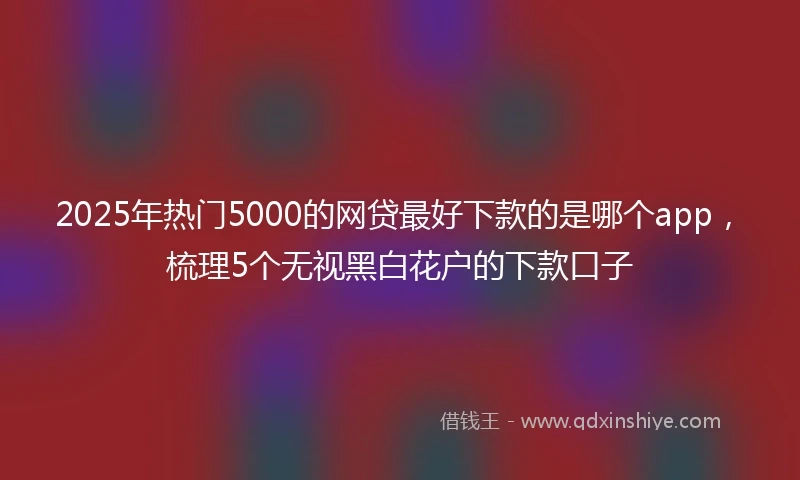 2025年热门5000的网贷最好下款的是哪个app，梳理5个无视黑白花户的下款口子