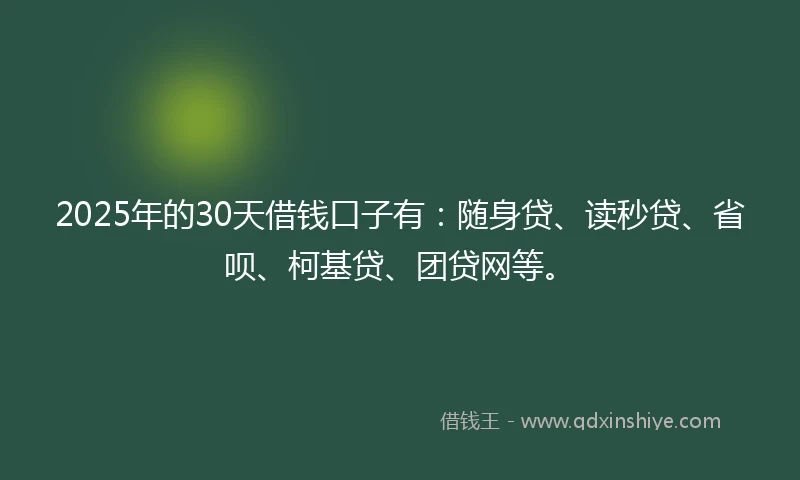 2025年的30天借钱口子有：随身贷、读秒贷、省呗、柯基贷、团贷网等。