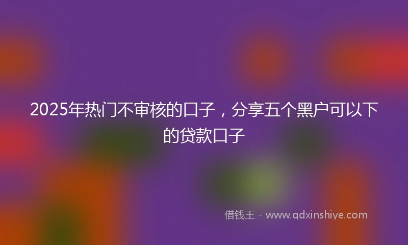 2025年热门不审核的口子，分享五个黑户可以下的贷款口子