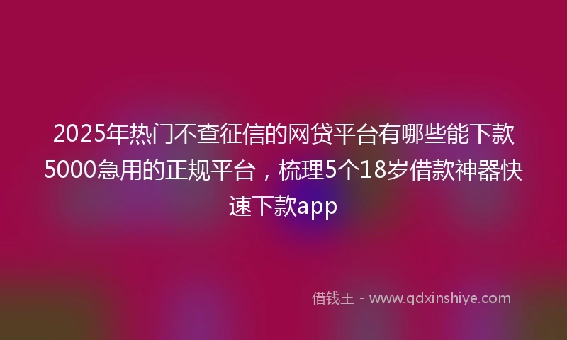 2025年热门不查征信的网贷平台有哪些能下款5000急用的正规平台，梳理5个18岁借款神器快速下款app