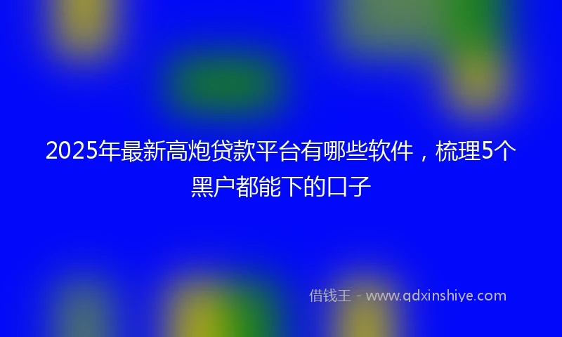 2025年最新高炮贷款平台有哪些软件,梳理5个黑户都能下的口子