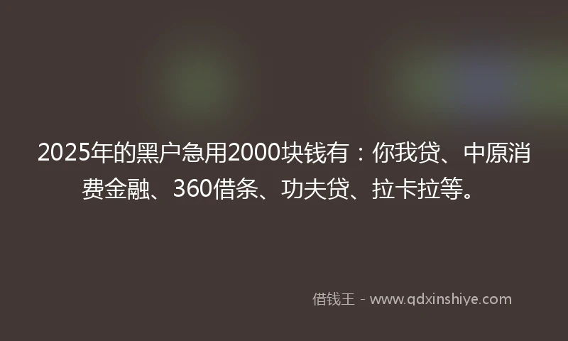 2025年的黑户急用2000块钱有：你我贷、中原消费金融、360借条、功夫贷、拉卡拉等。