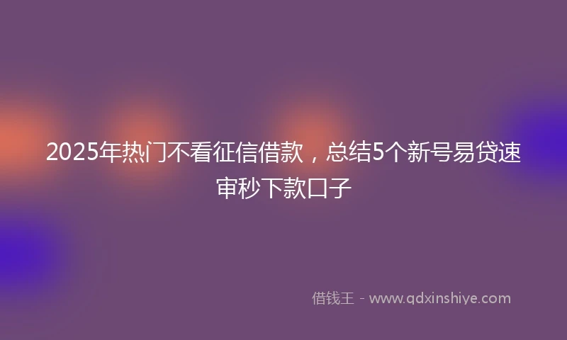2025年热门不看征信借款，总结5个新号易贷速审秒下款口子
