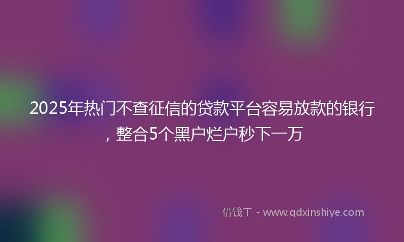 2025年热门不查征信的贷款平台容易放款的银行,整合5个黑户烂户秒下一万