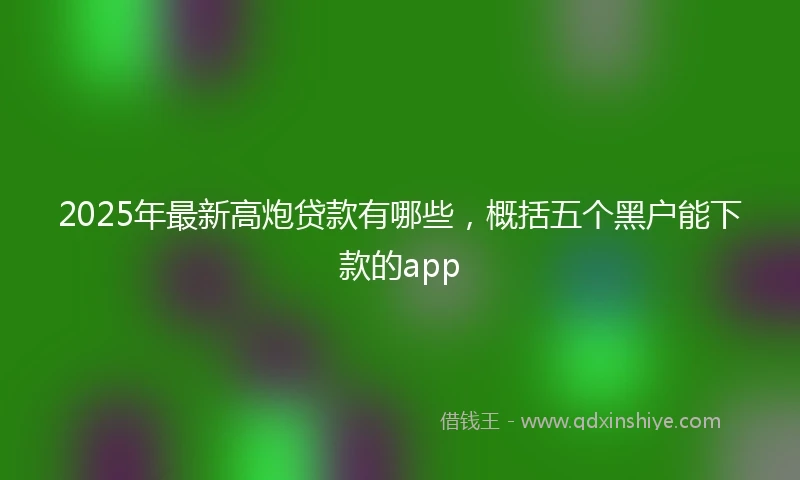 2025年最新高炮贷款有哪些，概括五个黑户能下款的app