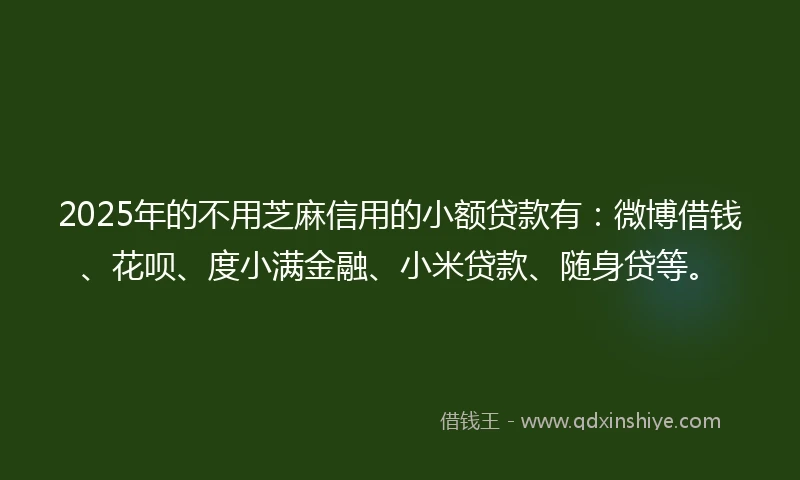2025年的不用芝麻信用的小额贷款有：微博借钱、花呗、度小满金融、小米贷款、随身贷等。