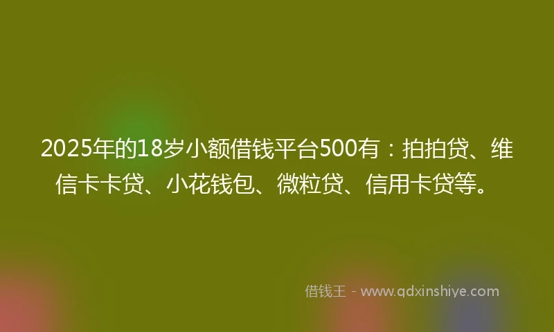 2025年的18岁小额借钱平台500有：拍拍贷、维信卡卡贷、小花钱包、微粒贷、信用卡贷等。