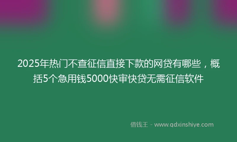 2025年热门不查征信直接下款的网贷有哪些,概括5个急用钱5000快审快贷无需征信软件
