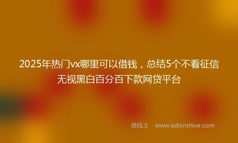 2025年热门vx哪里可以借钱，总结5个不看征信无视黑白百分百下款网贷平台