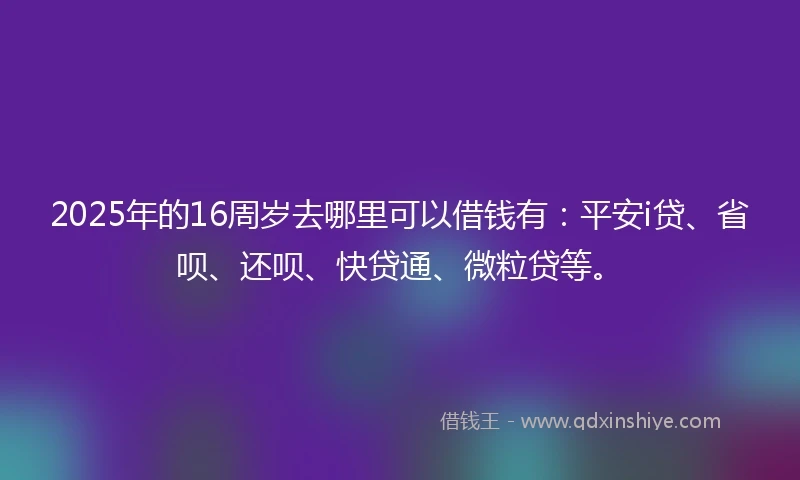 2025年的16周岁去哪里可以借钱有：平安i贷、省呗、还呗、快贷通、微粒贷等。