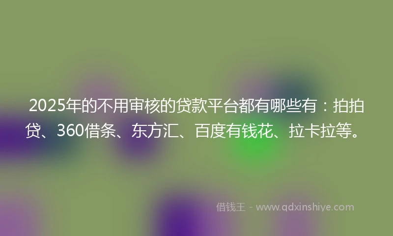 2025年的不用审核的贷款平台都有哪些有：拍拍贷、360借条、东方汇、百度有钱花、拉卡拉等。