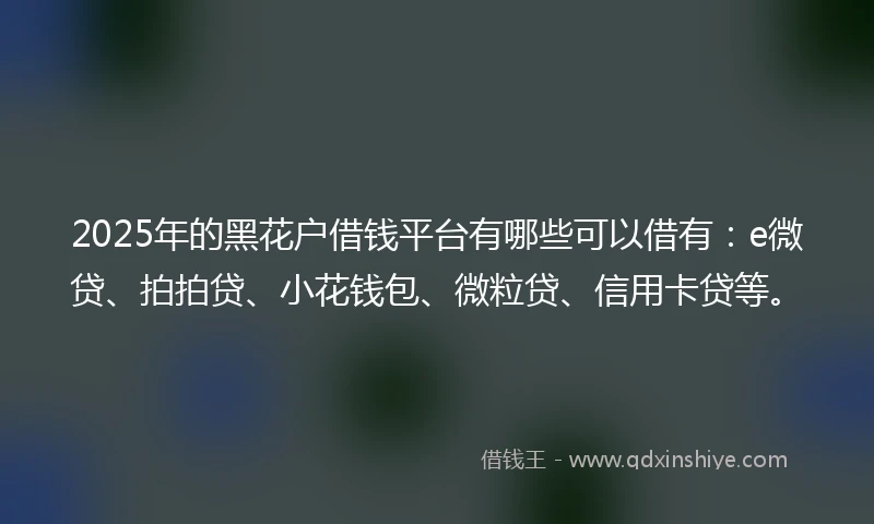 2025年的黑花户借钱平台有哪些可以借有：e微贷、拍拍贷、小花钱包、微粒贷、信用卡贷等。
