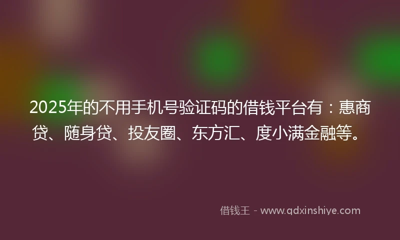 2025年的不用手机号验证码的借钱平台有：惠商贷、随身贷、投友圈、东方汇、度小满金融等。