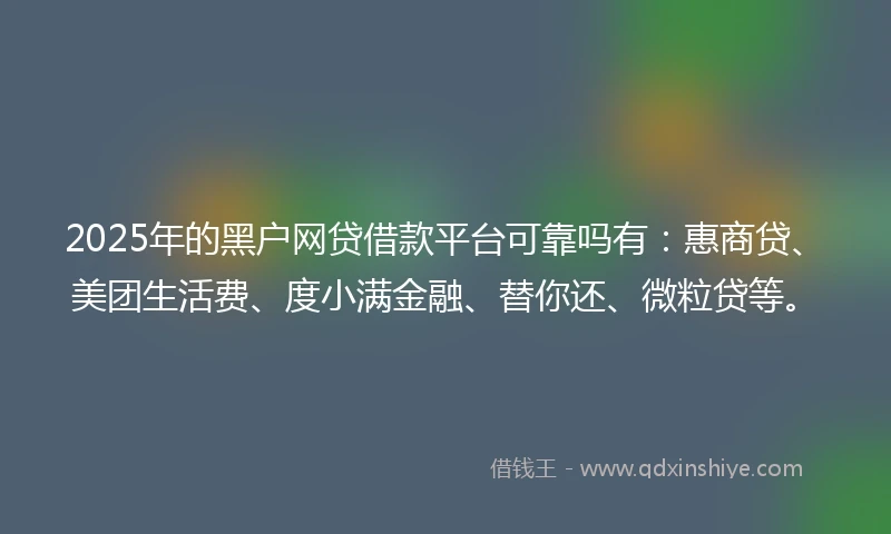 2025年的黑户网贷借款平台可靠吗有：惠商贷、美团生活费、度小满金融、替你还、微粒贷等。