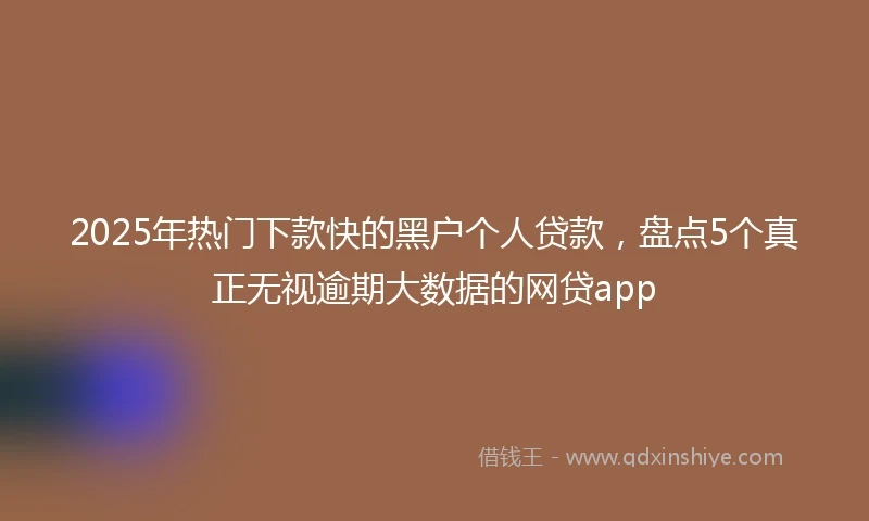 2025年热门下款快的黑户个人贷款，盘点5个真正无视逾期大数据的网贷app