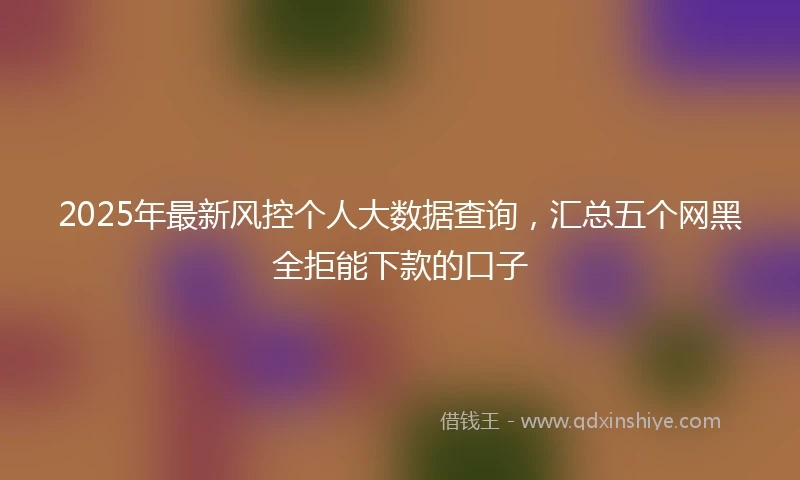 2025年最新风控个人大数据查询，汇总五个网黑全拒能下款的口子
