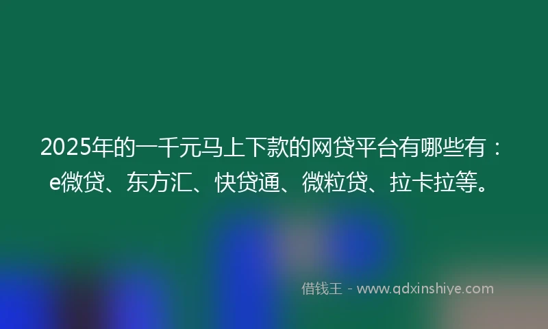 2025年的一千元马上下款的网贷平台有哪些有：e微贷、东方汇、快贷通、微粒贷、拉卡拉等。