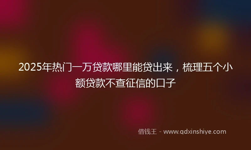 2025年热门一万贷款哪里能贷出来,梳理五个小额贷款不查征信的口子
