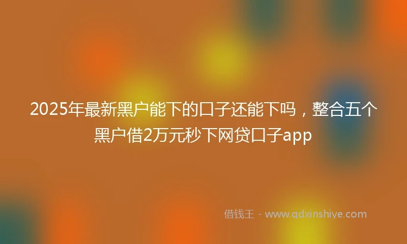 2025年最新黑户能下的口子还能下吗，整合五个黑户借2万元秒下网贷口子app