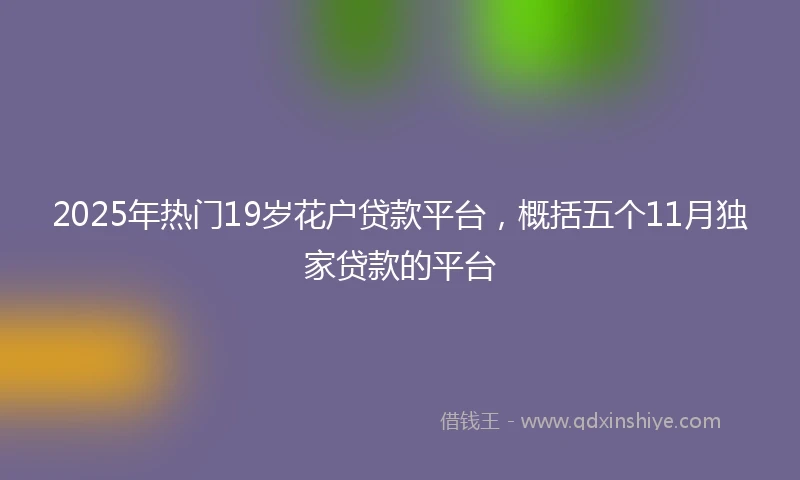 2025年热门19岁花户贷款平台，概括五个11月独家贷款的平台