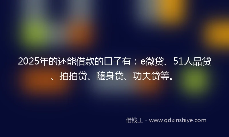 2025年的还能借款的口子有：e微贷、51人品贷、拍拍贷、随身贷、功夫贷等。