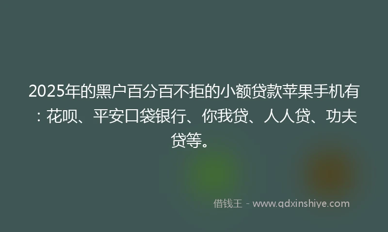 2025年的黑户百分百不拒的小额贷款苹果手机有：花呗、平安口袋银行、你我贷、人人贷、功夫贷等。