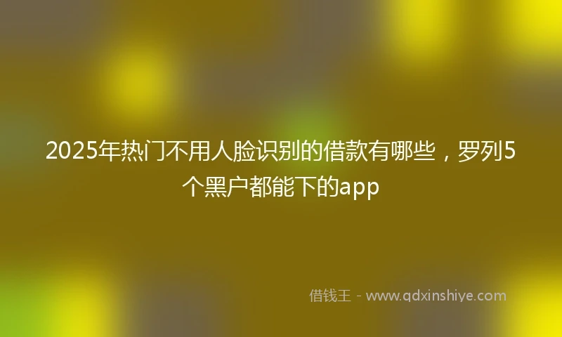 2025年热门不用人脸识别的借款有哪些，罗列5个黑户都能下的app