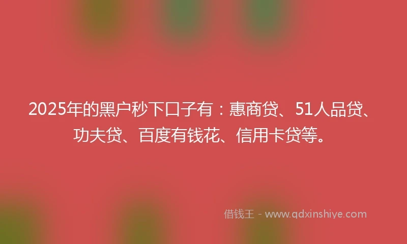 2025年的黑户秒下口子有：惠商贷、51人品贷、功夫贷、百度有钱花、信用卡贷等。