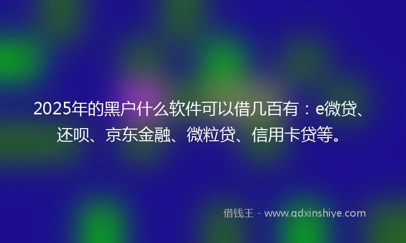2025年的黑户什么软件可以借几百有：e微贷、还呗、京东金融、微粒贷、信用卡贷等。