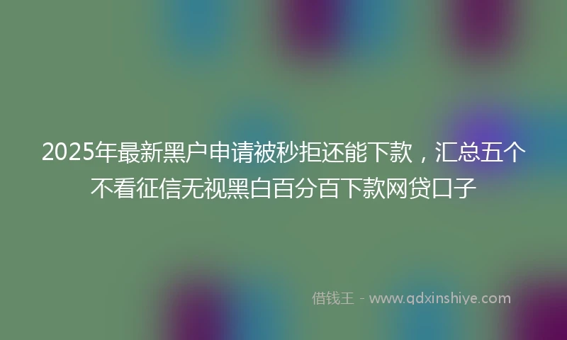 2025年最新黑户申请被秒拒还能下款，汇总五个不看征信无视黑白百分百下款网贷口子