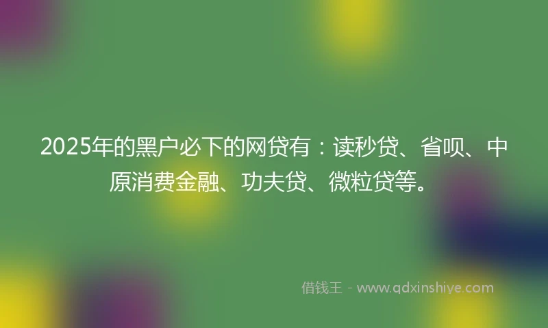 2025年的黑户必下的网贷有：读秒贷、省呗、中原消费金融、功夫贷、微粒贷等。