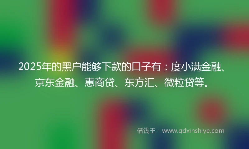 2025年的黑户能够下款的口子有：度小满金融、京东金融、惠商贷、东方汇、微粒贷等。