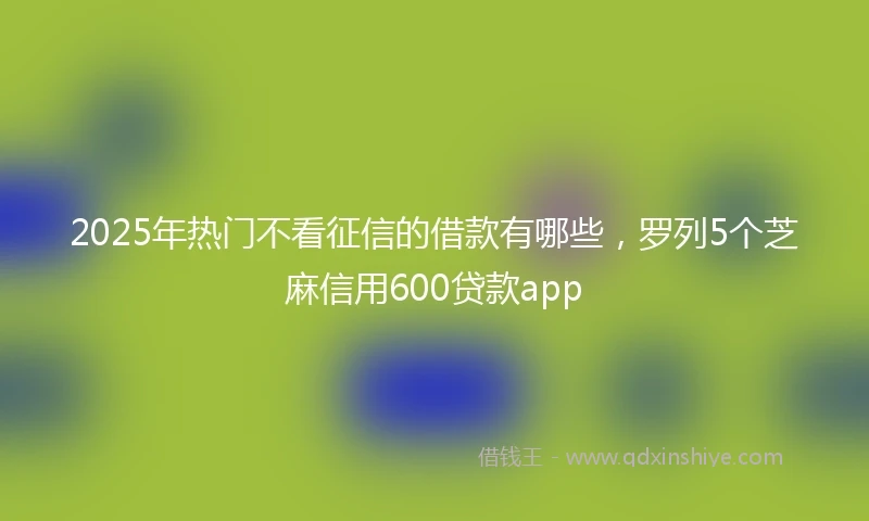 2025年热门不看征信的借款有哪些,罗列5个芝麻信用600贷款app